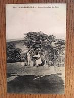 CPA, Madagascar, Décortiquage Du Riz, Non écrite, édition Messageries Maritimes - Madagascar