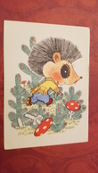 OLD USSR Postcard  - "Hedgehog" By Golubev -   Champignon  - MUSHROOM 1968 Hedgehog - Pilze