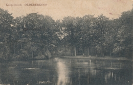 CPSM - Pays-Bas - Koepelbosch - Oldeberkoop - Otros & Sin Clasificación