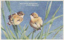 OISEAUX. Ensemble 165 Cartes Postales D'oiseaux. - Altri & Non Classificati