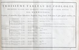 [SCIENCES] Charles CHAISNEAU - Atlas D'histoire Naturel - Andere & Zonder Classificatie