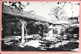 Delcampe - Beaugency - Hotel Saint Firmin - Cour Intérieure - Beaugency