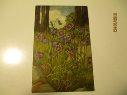 CAMPANULA , HALLER , OLD POSTCARD , 0 - Haller, A.