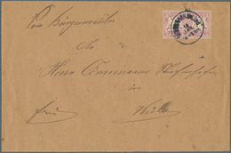 Bayern - Marken Und Briefe: 1878, 5 Pf. Violett, Waager. Paar Auf Sauberem Brief Ab ROETHENBACH B. L - Other & Unclassified