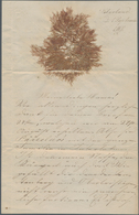 Helgoland - Marken Und Briefe: 1867 (1. Sept.), Vierseitiger Brief Eines 'Rudolf' And Seine Mutter, - Héligoland
