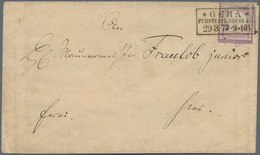 Deutsches Reich - Brustschild: 1872, KLeiner Schild ¼ Gr, Violett Als Einzelfrankatur Auf Ortsbrief - Neufs