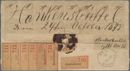 Deutsches Reich - Brustschild: 1872 Innendienst 10 Gr Grau, 16er Block+Paar A. Paketbrief V. Hankens - Ongebruikt