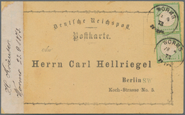 Deutsches Reich - Brustschild: 1872, Großer Schild 1 Kr. Hellgrün Im Paar Auf Privater Vordruck-Kart - Unused Stamps