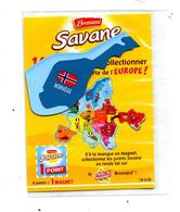 Magnet Savane Brossard  Norvege - Autres & Non Classés