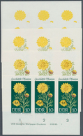 DDR: 1969, Geschützte Heimische Pflanzen 10 Pf. 'Frühlings-Adonisröschen (Adonis Vernalis)' In 4 Ver - Lettres & Documents