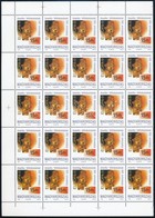 ** 1992 Európa 25 Sor Fél ívekben (30.000) - Other & Unclassified