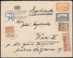 1922 Expressz Légi Levél Bécsbe / Express Airmail Cover To Vienna - Autres & Non Classés