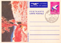 1987, Luftpostkarte Ruggeller Ried, Von Bruno Kaufmann, Ganzsache, Liechtenstein - Aéreo