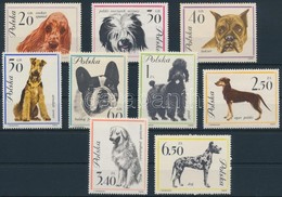 ** 1963 Kutyák Sor,
Dogs Set
Mi 1374-1382 - Sonstige & Ohne Zuordnung