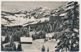 Ybergeregg - Gasthausstempel Berggasthaus Skilift Alois Reichmuth-Suter Post Rickenbach Schwyz - SZ Schwyz