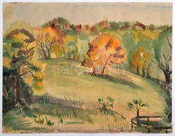 Somlai Vilma (1938-2007): Erdei Tisztás. Akvarell, Papír, Jelzett (hátul Hagyatéki Pecsét), Foltos, 34×44 Cm - Andere & Zonder Classificatie