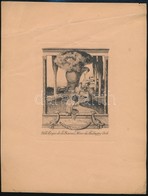 Franz Von Bayros (1866-1924): Ex Libris Madarassy Beck. Klisé, Papír, Jelzett A Nyomaton, 14×11 Cm - Altri & Non Classificati