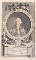 Nagykárolyi Gróf Károlyi Antal (1732-1791.) Táborszernagy, Főispán, Valóságos Komornyik.  Rézmetszetű Porctréja. 10x14 C - Estampes & Gravures