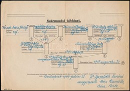 1944 Bp., Származási Táblázat - Zonder Classificatie