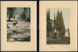 Cca 1930 Színezett, Aláírt Fotóművészeti Alkotások, 3 Db Vintage Fotó, Képméret 12x8 Cm, Fotópapír 17x12 Cm - Autres & Non Classés