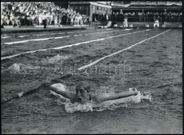 Cca 1950-1960 Vízilabda és úszósport Fotók, 6 Db, Többnyire Feliratozva, 9×12 és 24×31 Cm Közötti Méretekben - Andere & Zonder Classificatie