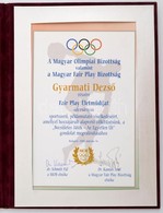 2008 Magyar Olimpiai Bizottság Fair Play életműdíj Oklevél Gyarmati Dezső (1927-2013) Olimpiai Bajnok Vízilabdázó Részér - Andere & Zonder Classificatie