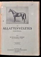 Dr. Schandl József: Az állattenyésztés Enciklopédiája. Bp.,1924, Eggenberger, 144 P. + Reichenbach Béla: Dánia Mezőgazda - Non Classificati