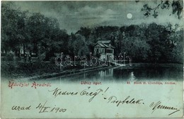 T2/T3 1900 Arad, Városliget Holdfényben. Kiadja H. Bloch Nyomdája / Park In Moonlight (fl) - Non Classificati