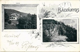 T2 1899 Bálványosfürdő, Baile Balvanyos (Torja, Turia); Büdös-barlang, Szálloda, Pension / Cave, Hotel. Floral - Zonder Classificatie