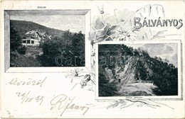 T2 1899 Bálványosfürdő, Baile Balvanyos (Torja, Turia); Büdös-barlang, Szálloda, Pension / Cave, Hotel. Floral - Non Classificati