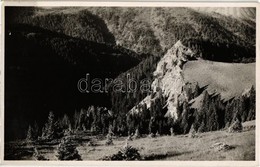 * T2 Biharfüred, Stana De Vale; Bazarul Somes (Cheile Somesului Cald) / Szamos Bazár / Hiking Spot, Caves, Forest + 1948 - Unclassified