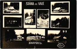 T2 1929 Biharfüred, Stana De Vale; Fűrésztelep, Fürdő / Sawmill, Spa, Bathing House. Mimosa Photo - Zonder Classificatie