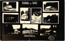 T2 1929 Biharfüred, Stana De Vale; Fűrésztelep, Fürdő / Sawmill, Spa, Bathing House. Mimosa Photo - Unclassified