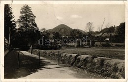 ** T2/T3 Nagybánya, Baia Mare; Klastrom Rét. Kiadja Braun Miklós / Road, Meadow (EK) - Zonder Classificatie