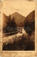 T3 1908 Petrozsény, Petrosani; Szurduki Szoros. Kiadja Herz Henrik / Pasul Surduc / Mountain Pass (kis Szakadás / Small  - Zonder Classificatie