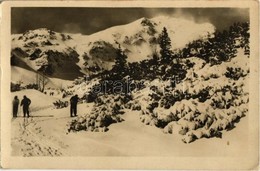 T2/T3 Bölényfalu, Zuberec (Tátra); Roháce, Predné Zelené / Rohács, Síelők, Téli Sport / Winter Sport, Ski (EK) - Zonder Classificatie