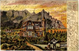 * T3/T4 1901 Rajecfürdő, Rajecké Teplice; Dr. Flamm's Cottage / Dr. Flamm Villa, Csónakázók. Művészlap / Cottage, Villa, - Zonder Classificatie