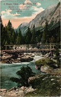 ** T2 Tátra, Tatry; Tarpatakai Völgy, Fahíd. Divald Károly 1446-1909. / Velká Studená Dolina / Valley, Wooden Bridge - Zonder Classificatie