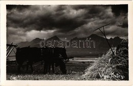 ** T2 Tátra, Magas Tátra, Vysoké Tatry; Szénagyűjtés, Széna Elszállítása Szénásszekéren, Folklór / Transporting Hay With - Zonder Classificatie