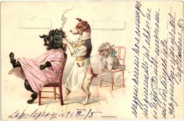 T2/T3 1899 Dog Hairdresser. Theo. Stroefer's Kunstverlag Aquarell-Postkarte Serie V. (Tiere) No. 638. Litho (EK) - Unclassified