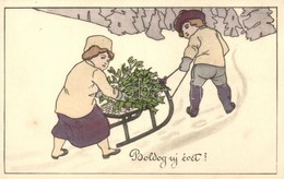 * T2 New Year, Children With Sled, B.K.W.I. 3112-1. - Non Classificati