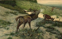 ** T2/T3 'Herausforderung' / Challenging Cry Of A Stag, Deer, Stengel & Co. No. 47004., Litho, S: C. Drathmann - Non Classés