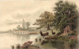 ** T2 Deer, Stag And Doe By The River, Meissner & Buch Serie 1263, Litho, S: F. W. Hayes - Ohne Zuordnung