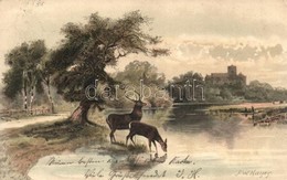 T2/T3 Deer, Stag And Doe By The River, Meissner & Buch Serie 1264, Litho, S: F. W. Hayes (EK) - Zonder Classificatie