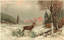 T2 Deer In The Winter Forest, Meissner & Buch Serie 1713, Litho, S: F. W. Hayes - Ohne Zuordnung