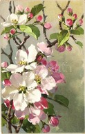 T3 Cherry Blossom Flowers, M. & L. Serie 137., Litho (small Tear) - Unclassified