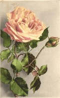 * T2 Rose Flower, Martin Rommel & Co. Hofkunstanstalt No. 633 - Non Classés