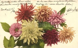 * T2 Crysanths Flower, Martin Rommel & Co. Hofkunstanstalt No. 562 - Zonder Classificatie