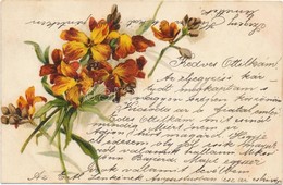 T2/T3 Flowers, Litho - Unclassified