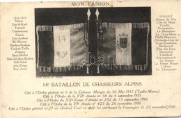 * T2/T3 Mon Fanion, 14e Bataillon De Chasseurs Alpins / Flags Of The 14th Battalion Of Alpine Hunters (EK) - Non Classificati